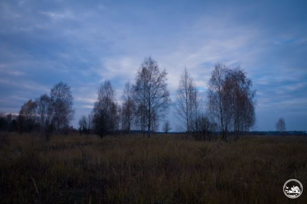 Листопад у Чорнобильському заповіднику / Фото: Чорнобильський радіаційно-екологічний біосферний заповідник