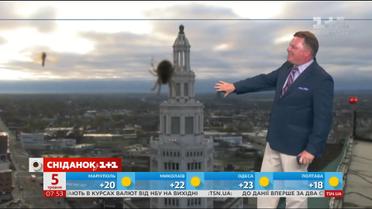 Найкумедніші новини зі світу телебачення та новий проект 1+1 – Телесніданок