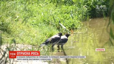 До води потрапила незначна кількість міндобрив, ймовірно, вони розчиняться - надзвичайники