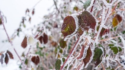 Зимовий пейзаж