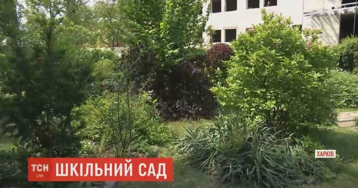 Учительница из Харькова обустроила в школе уникальный ботсад с 2000 растений со всего мира