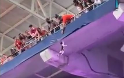 В США во время футбольного матча кот сорвался с трибуны и пережил чудесное спасение: вся арена была в экстазе (видео)