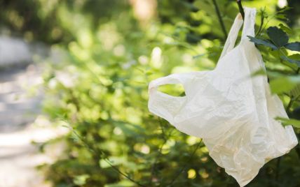 Запрет пластиковых пакетов в Украине: есть ли альтернатива