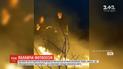 Вблизи Ровно подростки устроили фотосессию на фоне горящей травы
