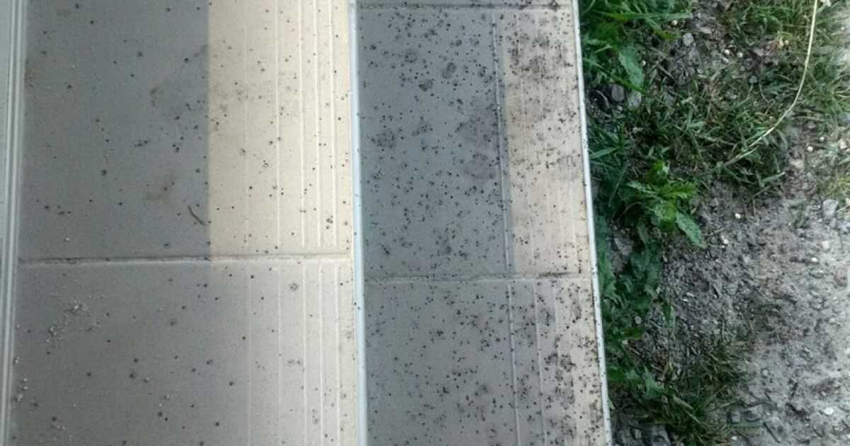 Пользователи социальных сетей начинают паниковать через "черный дождь" / © vk.com/Андрій Швец