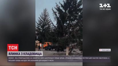 Головну ялинку Дубна Рівненської області зрубали на кладовищі