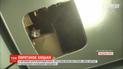 2 года жила между стенами: в Южной Корее спасли кошку