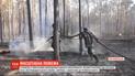 Пожар в Овруцком и Лугинском районах Житомирской области удалось локализовать