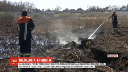 Экологи приравнивают выжигание сухостоя к экологическому бедствию в Украине