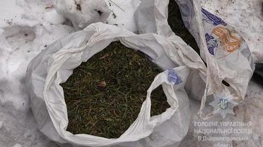 Марихуана у Кривому Розі_4 / © npu.gov.ua