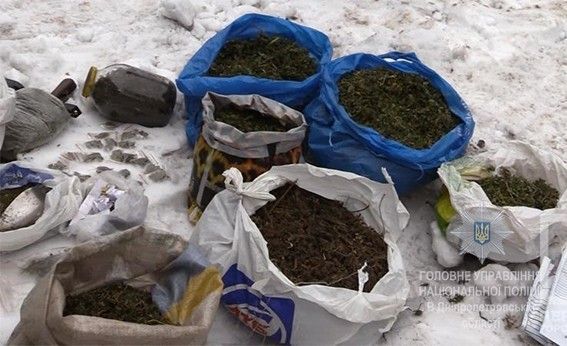 отрывает от земли запах конопли