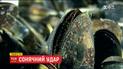 ТСН покаже, яку екзотику з далеких країн можна знайти в українській акваторії