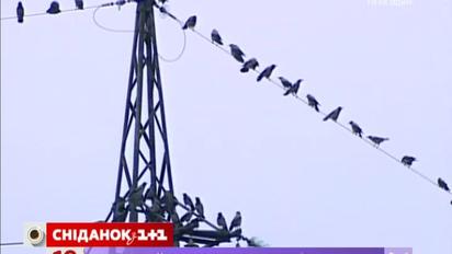 С 1 сентября в Украине снова повысится тариф на электроэнергию