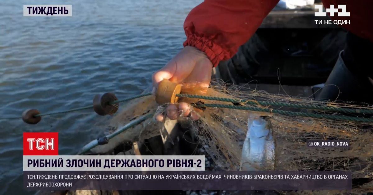 Новини тижня: яких змін зазнала ситуація з незаконним виловом риби на Дністровському лимані
