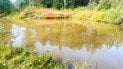 Бабуся відволіклась, а дитина пішла до ставка: на Рівненщині втопився 3-річний малюк