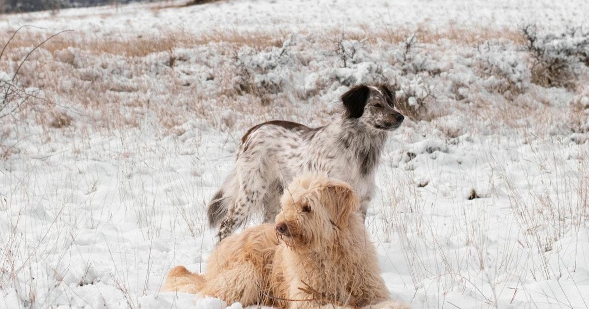 Какой сегодня, 7 декабря, день ангела