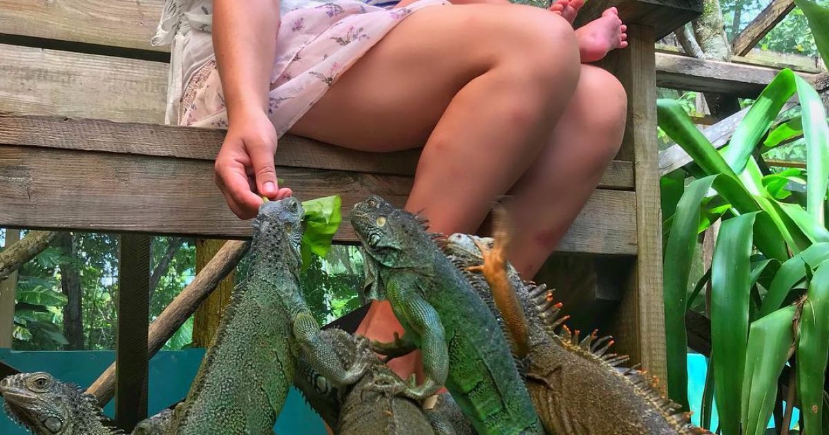 Жінка з дітьми, сімейна подорож_4 / © www.instagram.com/travelmadmum