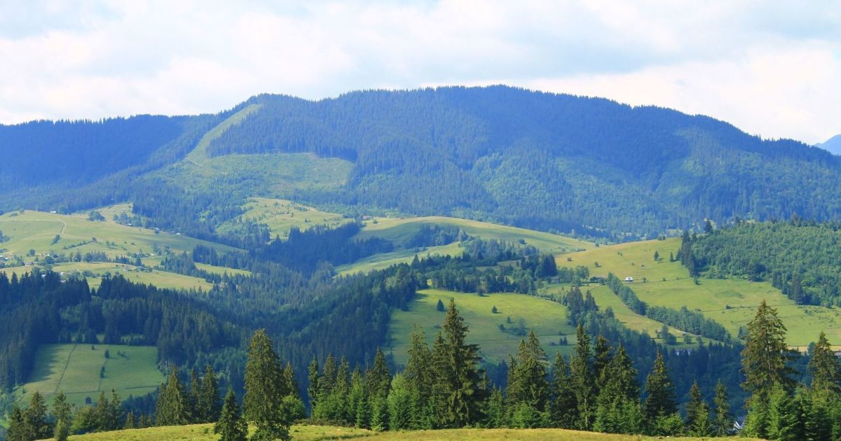Карпати
