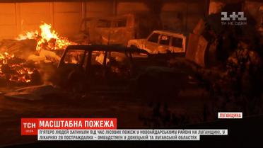 Лесные пожары в Луганской области: пятеро погибших, уничтожено полторы сотни зданий
