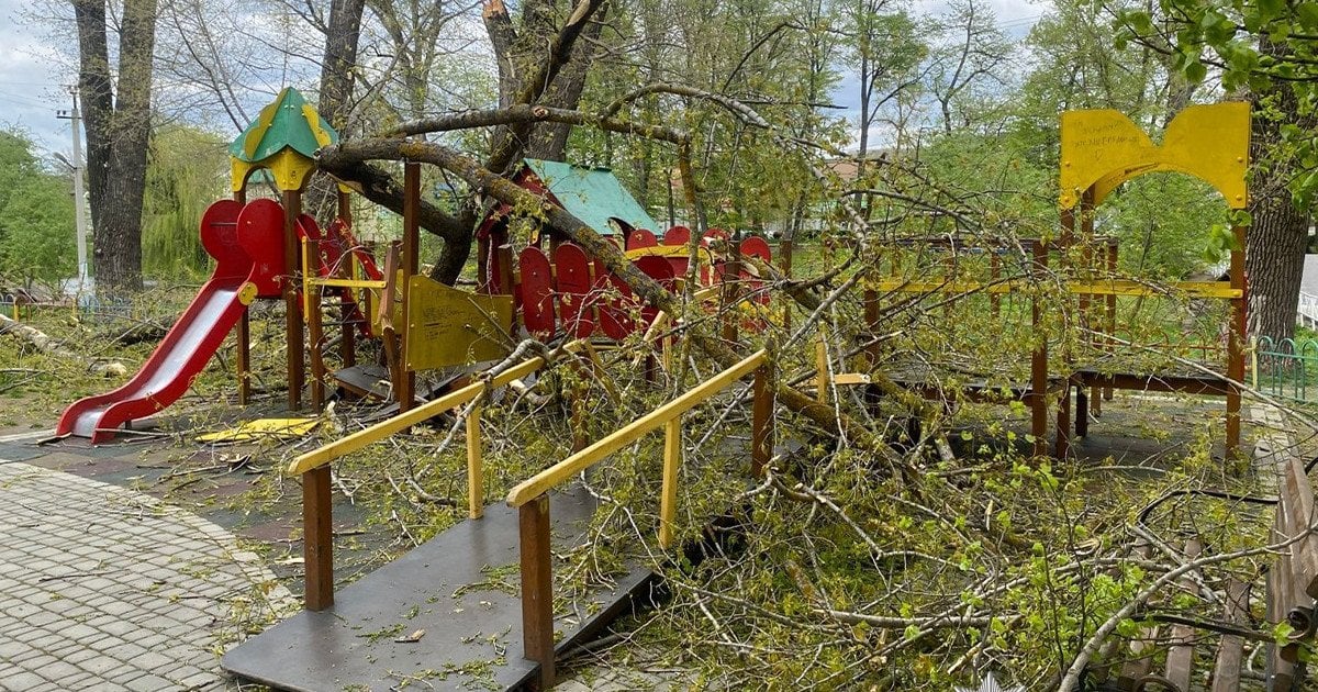 Падение деревьев на детскую площадку
