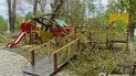 Падіння дерев на дитмайданчик