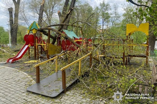 На Буковині дерева впали на дитячий майданчик: госпіталізовано двох дівчаток (фото)