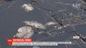 Жители Черновцов обвиняют строителей в массовом море рыбы в парковом озере
