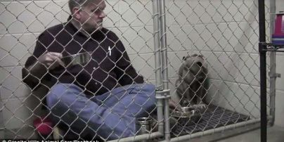 Юзеров тронуло видео заботливого ветеринара, который успокаивает перепуганную собаку