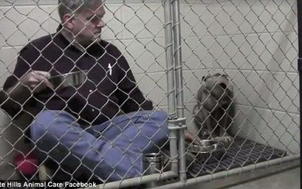 Юзеров тронуло видео заботливого ветеринара, который успокаивает перепуганную собаку