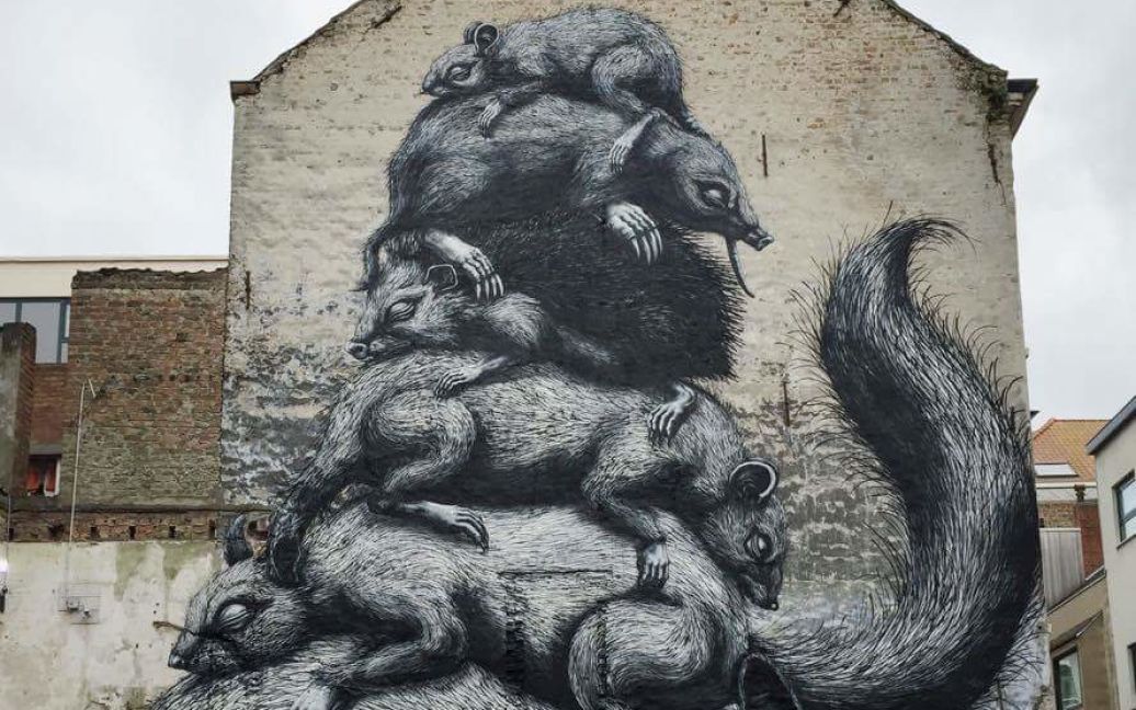 ROA - Бельгія (3) / © Street art news