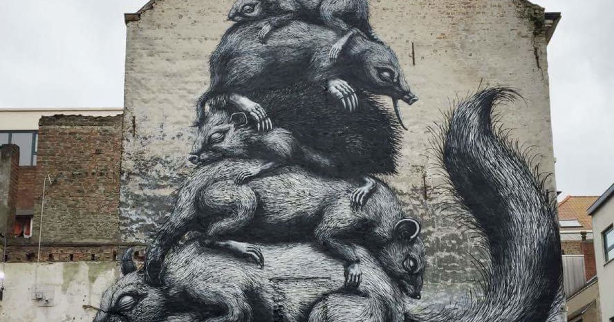 ROA - Бельгия (3) / © Street art news