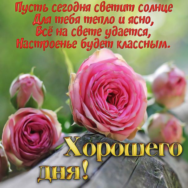 Пожелания хорошего дня в картинках, своими словами, в стихах, в смс и христианские пожелания доброго дня — Украина — tsn.ua