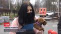 В Виннице таксист подрался с пассажирами из-за двухмесячного щенка