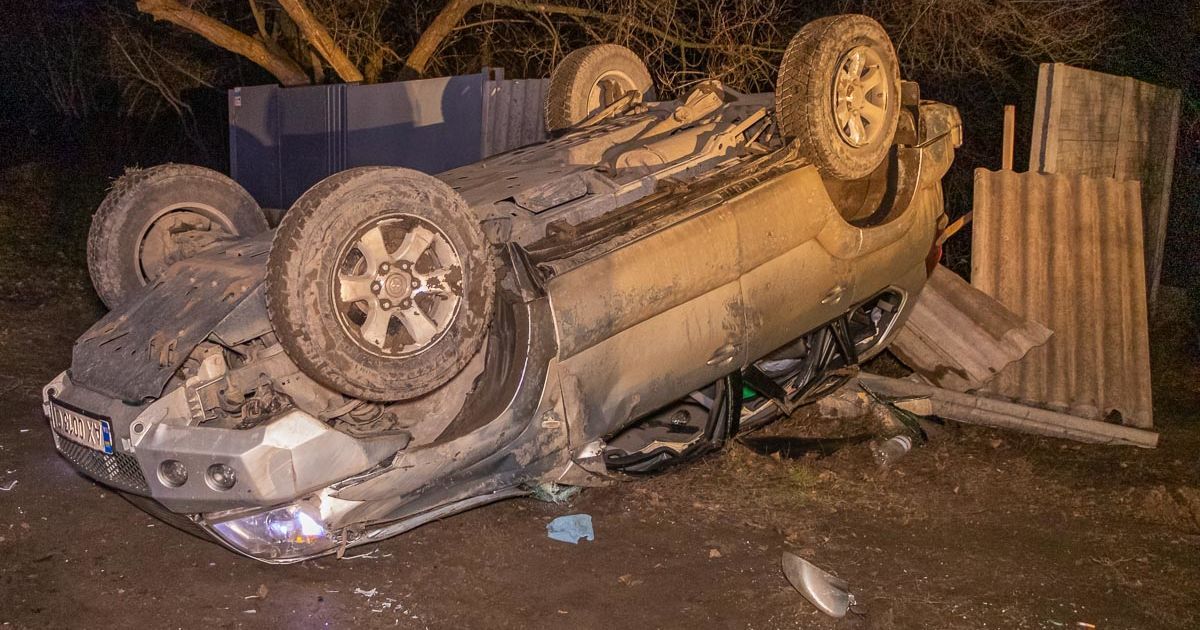 В Днепре пес спровоцировал ДТП, машина перевернулась на крышу