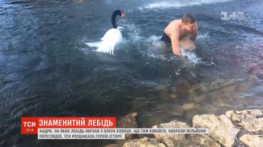 Херсонщина прославилась на весь світ завдяки лебедю, який вигнав хлопця з озера