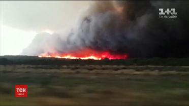 Масштабні лісові пожежі в Аргентині завдали збитків на 80 мільйонів доларів