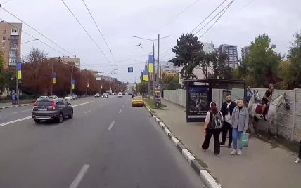 У Харкові коні розбили скляну зупинку громадського транспорту: відео