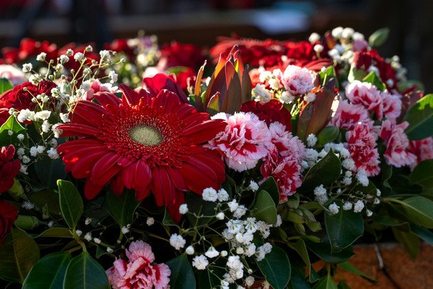 День ангела 14 листопада — душевні привітання в прозі / © unsplash.com