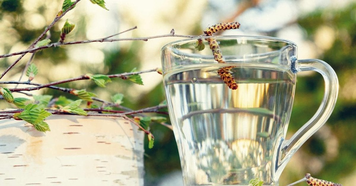 Березовый сок