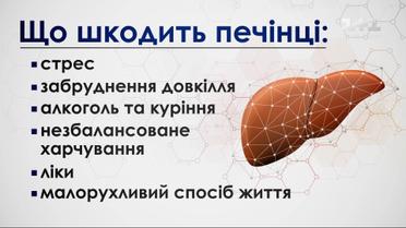 Что больше всего вредит печени и как предотвратить болезни – советы гастроэнтеролога