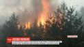Рятівний дощ: у Житомирській області вдалося локалізувати лісові пожежі