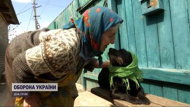 Собака у хустці та кухонна шафа: як буденні речі стали символами незламності українців