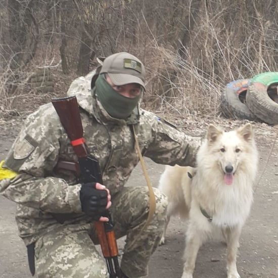 "Наказали відкрити вогонь на ураження": подробиці загибелі тероборонівця на кордоні з Білоруссю