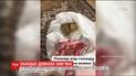 18-летняя львовянка похвасталась мертвым хомяком в пакете, которого заморила голодом