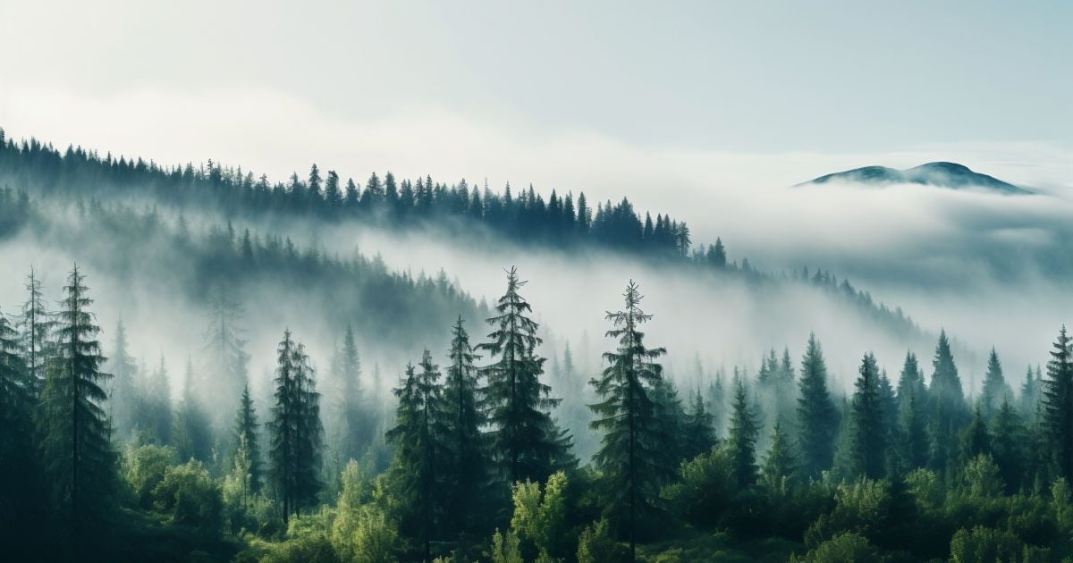 Гори
