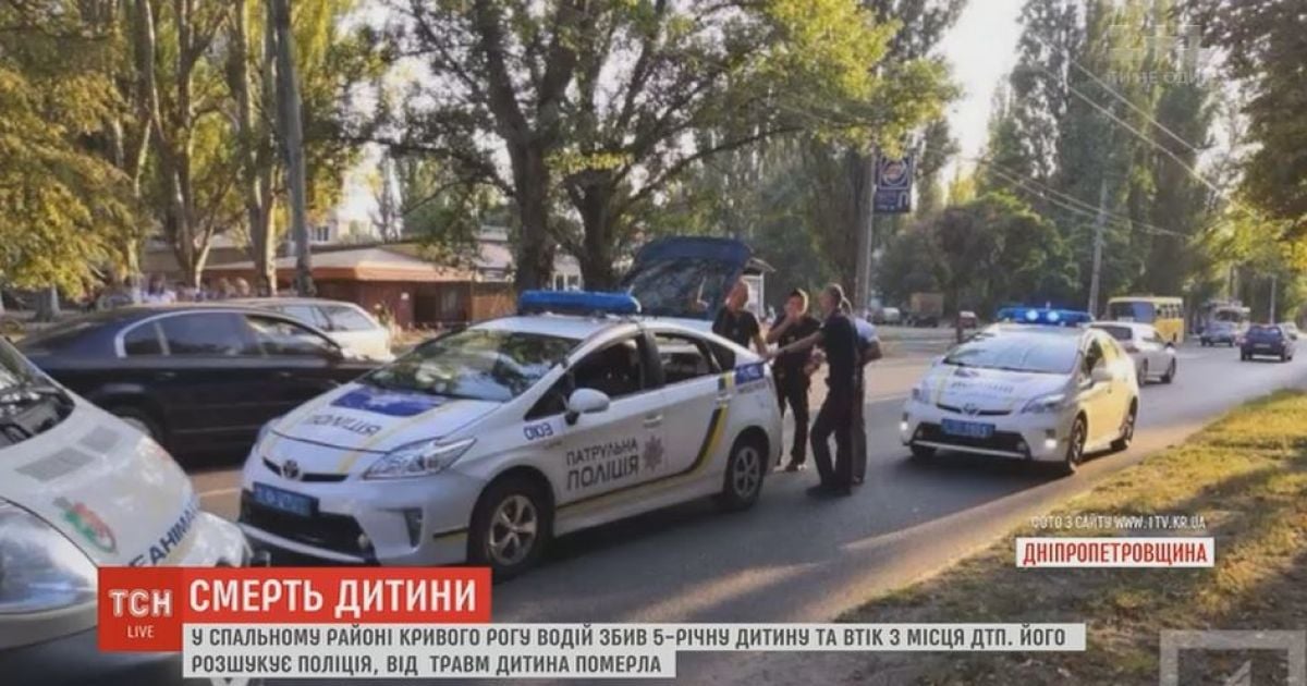 В Кривом Роге разыскивают водителя, который задавил 5-летнюю девочку и скрылся