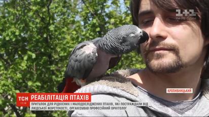 Орнитолог с Кропивницкого организовал центр реабилитации для птиц, которых обидели хозяева