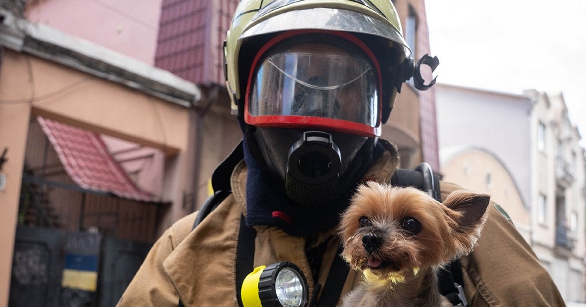 Пожарный держит спасенную собаку
