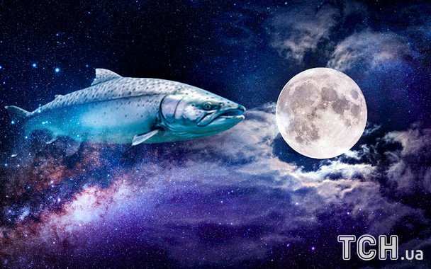 Осетровое полнолуние 9 августа 2025: почему такое название