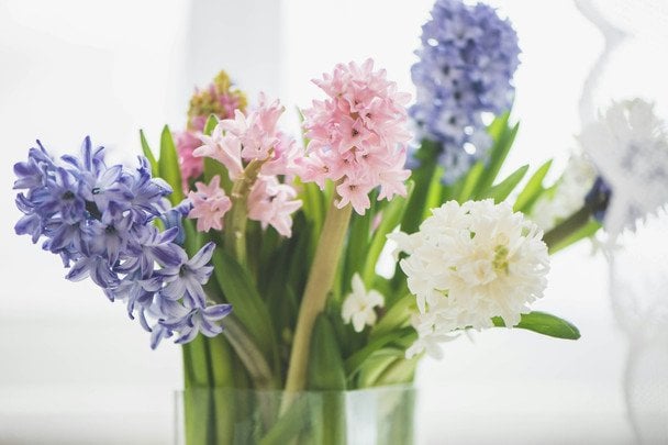 День ангела 17 квітня — душевні привітання в прозі / © unsplash.com